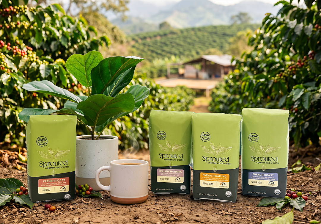 Fresh New Look, Same Sprouted Coffee You Love