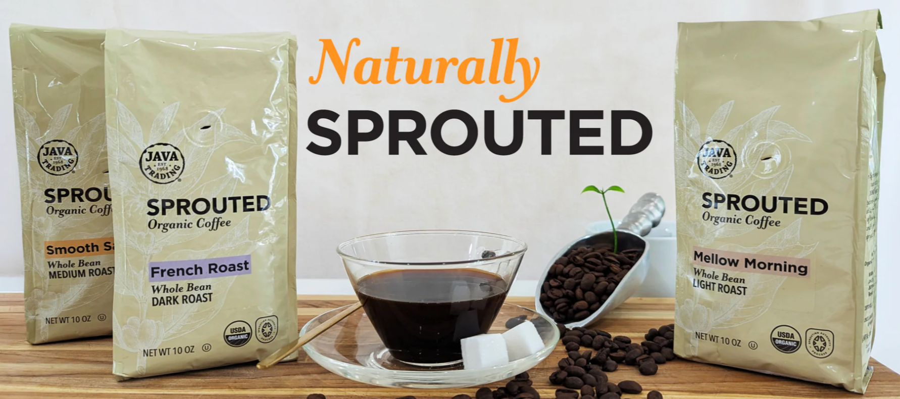 Java Trading Co Bulk Java Trading | Free Coffee Sample – Join the List & Taste the Difference
